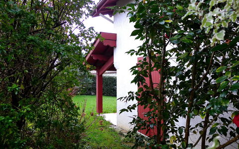 Eki Alde: Plantkunde, Boom, Fabriek, Huis, Bloem, Struik, Architectuur, Huis, Gebouw