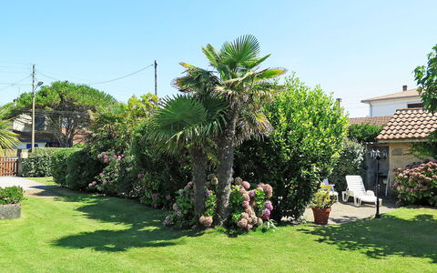 La Poste: Eigendom, Boom, Tuin, Onroerend Goed, Werf, Fabriek, Land Lot, Huis, Gazon, Gras