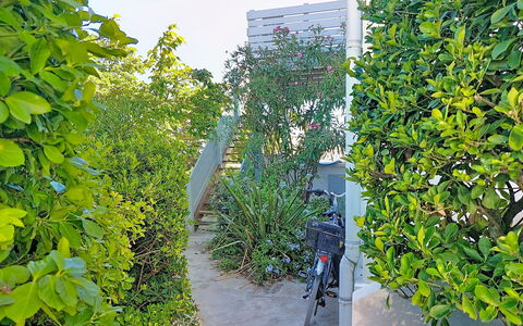 Mimizan 314: Groen, Blad, Struik, Zonlicht, Woody Plant, Schaduw, Tuin, Haag, Evergreen, Gang