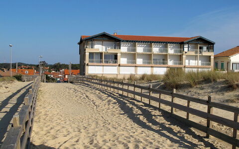 Les Goelands