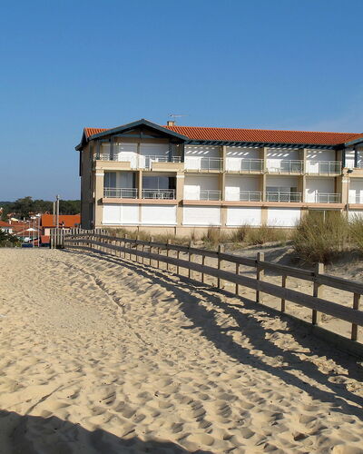 Les Goelands