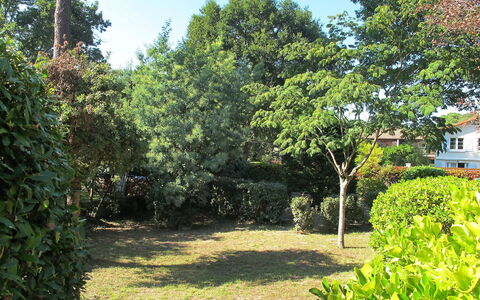 Tourterelles: Vegetation, Eigendom, Boom, Tuin, Natuurlijk Landschap, Onroerend Goed, Huis, Fabriek, Plantkunde, Gras
