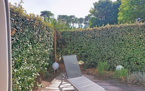 Artémis: Struik, Haag, Groundcover, Tuin, Schaduw, Evergreen, Backyard, Kruid