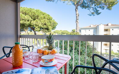 Accommodatie:&nbsp;Le Zodiaque Ii 220.3