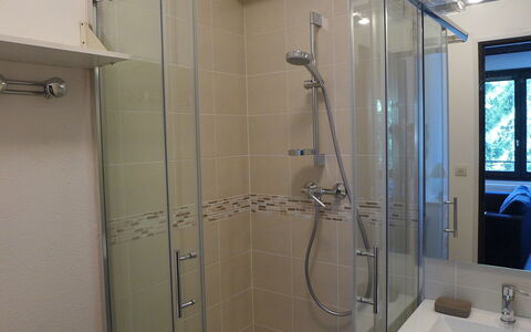 Le Cristal des Glaces: Douchekop, Deur Van De Douche, Loodgieterswerkinrichting, Wastafel, Douchestang, Douche, Badkamer, Spiegel, Douchepaneel