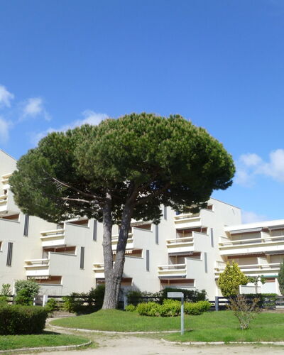Port Camargue 115