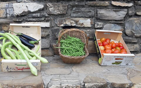 Casa Ilaria - Diano Marina: Voedsel, Ingrediënt, Natuurlijke Voedingsmiddelen, Hout, Openbare Ruimte, Gras