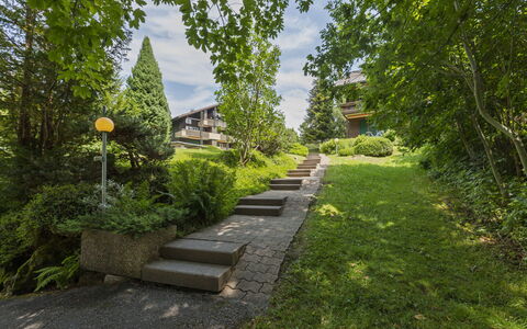 Rehli: Groen, Struik, Tuin, Groundcover, Trap, De Lente, Gang, Landscaping, Gazon, Werf