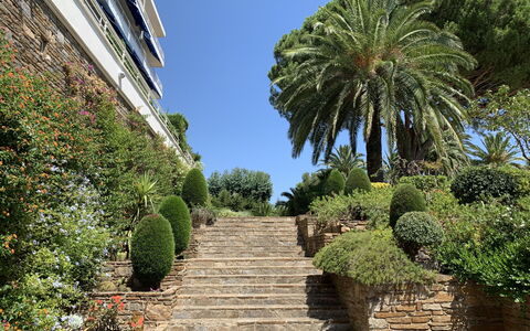 Cavalaire 279: Vegetation, Boom, Tuin, Eigendom, Palmboom, Plantkunde, Botanische Tuin, Lucht, Arecales, Fabriek