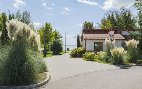 Piccola: Struik, Tuin, Oprit, Landscaping, Gang, Schaduw, Voorstad, Werf
