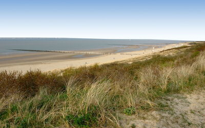 Droompark Schoneveld