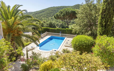 Venecia: Toevlucht, Zwembad, Tuin, Eco Hotel, Landscaping, Landgoed, Tropen, Villa, Badplaats