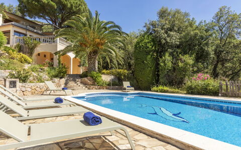 Venecia: Zwembad, Toevlucht, Eco Hotel, Landgoed, Schaduw, Hacienda, Tropen, Villa, Landscaping, Flagstone