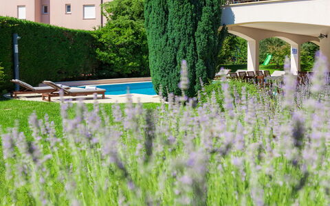 Carmen: Groen, Gras, Lavendel, Boom, Fabriek, Grassenfamilie, Gazon, Tuin, Struik, Architectuur