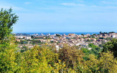 La Palmera