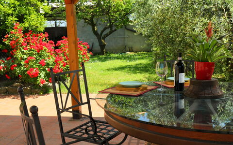 Cortona 190: Fabriek, Tafel, Meubilair, Bloem, Plantkunde, Natuur, Blad, Boom, Fles, Stoel