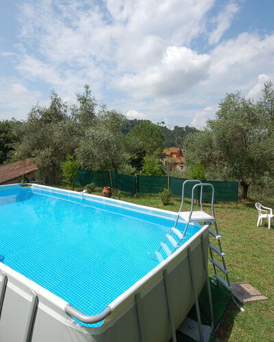 Al Laino