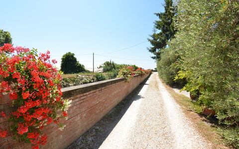 Casa Romana: Rood, Boom, Bloem, Weg, De Lente, Fabriek, Rijbaan, Plantkunde, Gang, Struik