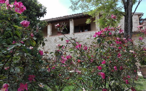 Agriturismo La Pieve: Bloem, Eigendom, Fabriek, Huis, Roze, Plantkunde, Boom, De Lente, Landelijk Gebied, Gebouw