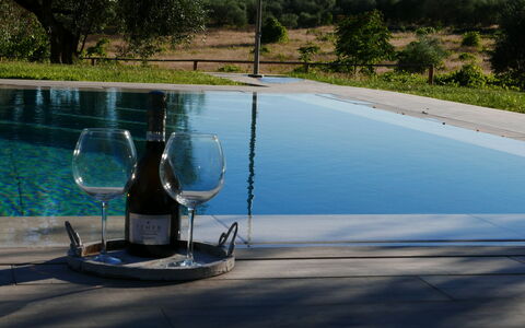 Agriturismo La Pieve: Water, Zwembad, Boom, Vrije Tijd, Vakantie, Waterpartij, Landschap, Fabriek, Glas, Huis