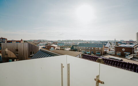 De Zeeparel: Samengesteld Materiaal, Daylighting, Multiplex, Balkon