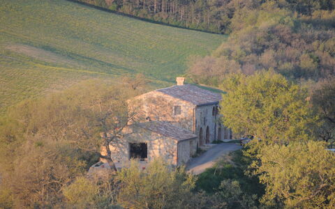 Podere Palazzo: Landelijk Gebied, Heuvel, Boom, Lucht, Luchtfotografie, Fotografie, Architectuur, Landschap, Huis, Gebouw