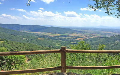 Panoramic view