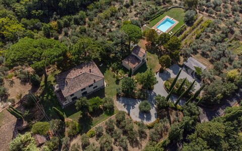 Villa San Pietro: Plantengemeenschap, Fabriek, Land Lot, Gebouw, Boom, Stedelijk Ontwerp, Natuurlijk Landschap, Buurt, Woongebied, Landelijk Gebied