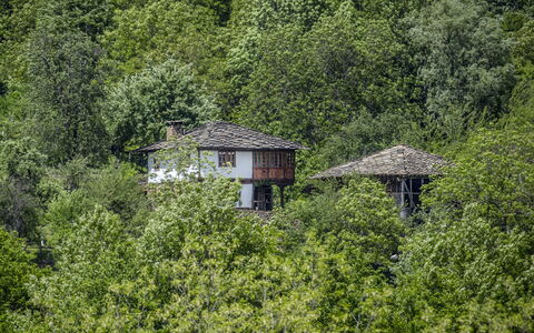 Karashka: Vegetation, Groen, Huis, Eigendom, Boom, Biome, Natuurgebied, Jungle, Verblijf, Blad