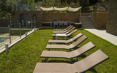 Villa Degli Ulivi: Gras, Gazon, Tuin, Architectuur, Plantkunde, Backyard, Werf, Huis, Ontwerp, Landscaping