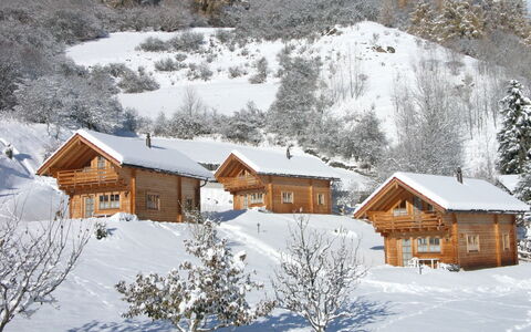 Ferienhaus Chalets Trafögl