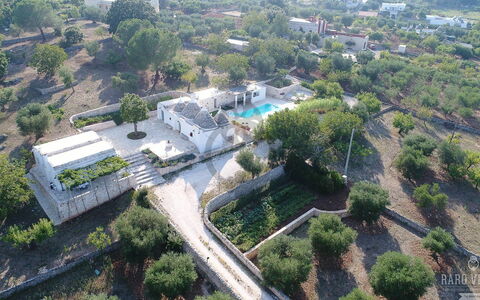 Trullo Oak: Fabriek, Dag, Gebouw, Boom, Stedelijk Ontwerp, Land Lot, Buurt, Woongebied, Landschap, Onroerend Goed