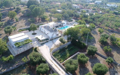 Trullo Oak