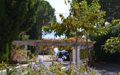 Llançà 381
