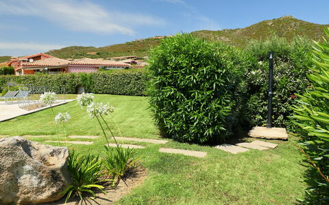 Iris: Gras, Groen, Tuin, Vegetation, Eigendom, Natuurlijk Landschap, Boom, Struik, Grassenfamilie, Huis