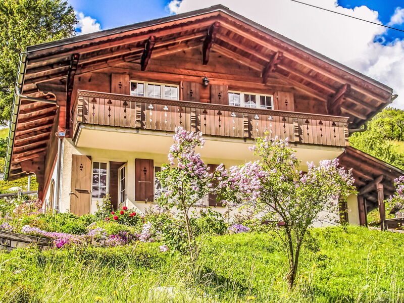 Chalet Reinhysi