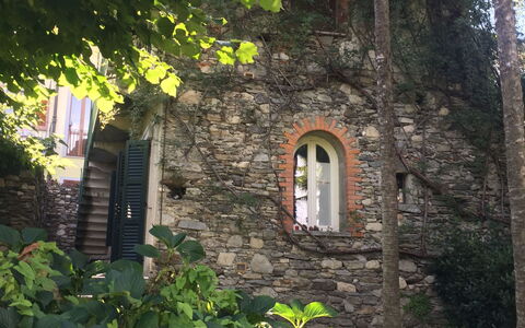 Villa Ghis - Sleeps 16: Vegetation, Huis, Muur, Blad, Boom, Fabriek, Gebouw, Verblijf, Architectuur, Boog