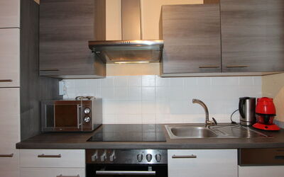Accommodatie:&nbsp;Tyrol 485.1