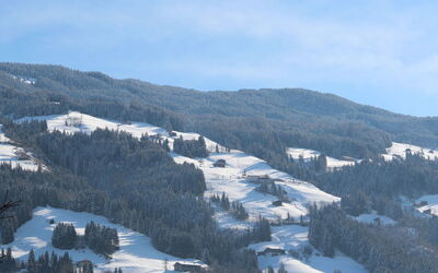 Aschau im Zillertal 485