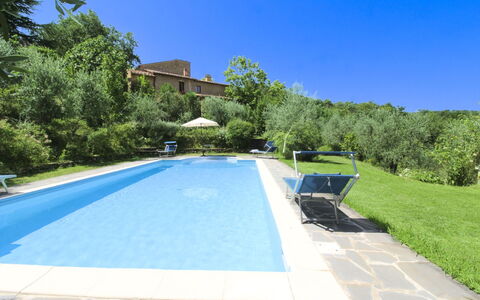 Villa Gioiosa: Zwembad, Toevlucht, Eco Hotel, Buitenmeubels, Landgoed, Hacienda, Villa, Backyard, Schaduw, Tuin