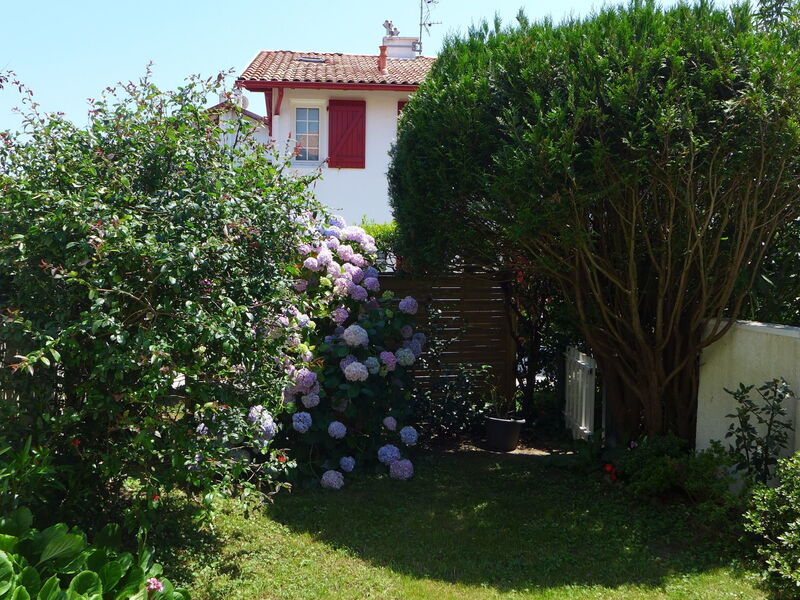 Le Fronton