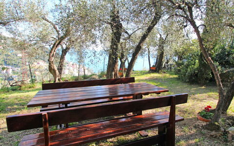 Italo: Openluchtbank, Fabriek, Meubilair, Picknicktafel, Boom, Hout, Buitenmeubels, Tafel, Schaduw
