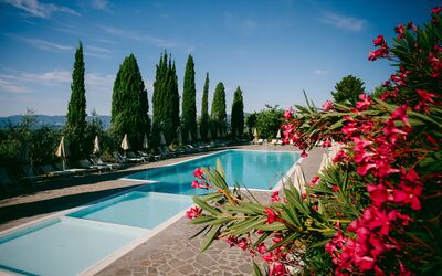 Fattoria Fronzano: Water, Bloem, Lucht, Wolk, Fabriek, Eigendom, Zwembad, Boom, Natuurlijk Landschap, Arecales