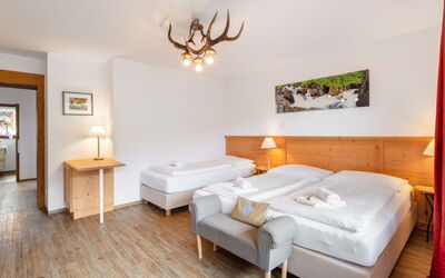 Accommodatie:&nbsp;Morgensonne 150.1