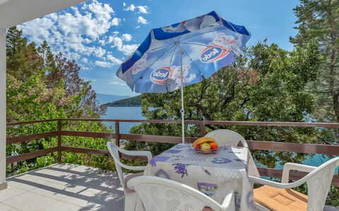 Ruža: Paraplu, Huis, Boom, Kamer, Onroerend Goed, Meubilair, Berg, Modeaccessoire, Vakantie, Textiel