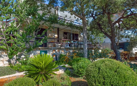 Ruža: Fabriek, Eigendom, Gebouw, Plantengemeenschap, Venster, Boom, Huis, Buurt, Woongebied, Arecales
