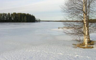 Herkkola