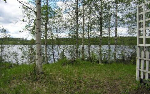 Mariantupa: Hout, Verblijf, Blokhut, Woud, Schuur, Garden Gebouwen, Lariks, Bos, Beits