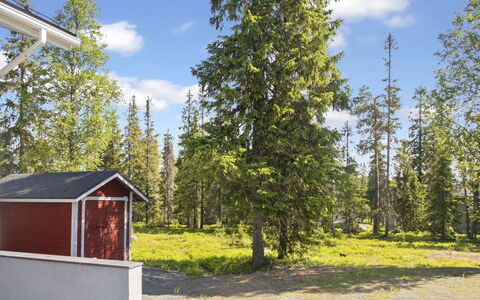 Ruka Snow and Sun 4: Lucht, Boom, Groen, Land Lot, Lariks, Verblijf, Trunk, Woody Plant, Woud