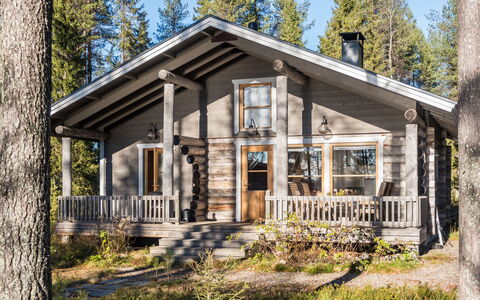 Putilanranta: Hout, Verblijf, Huis, Blokhut, Siding, Hardwood, Veranda, Bos, Lariks, Plank